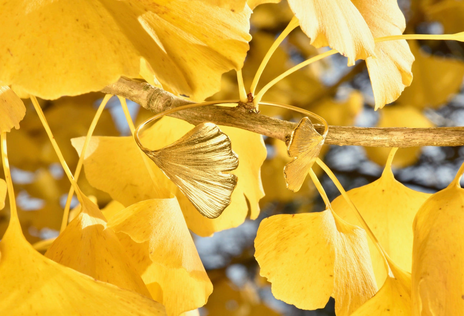 GINKGO