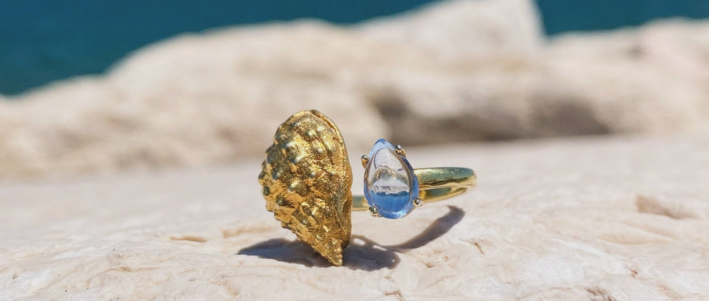 Shell Ring 2