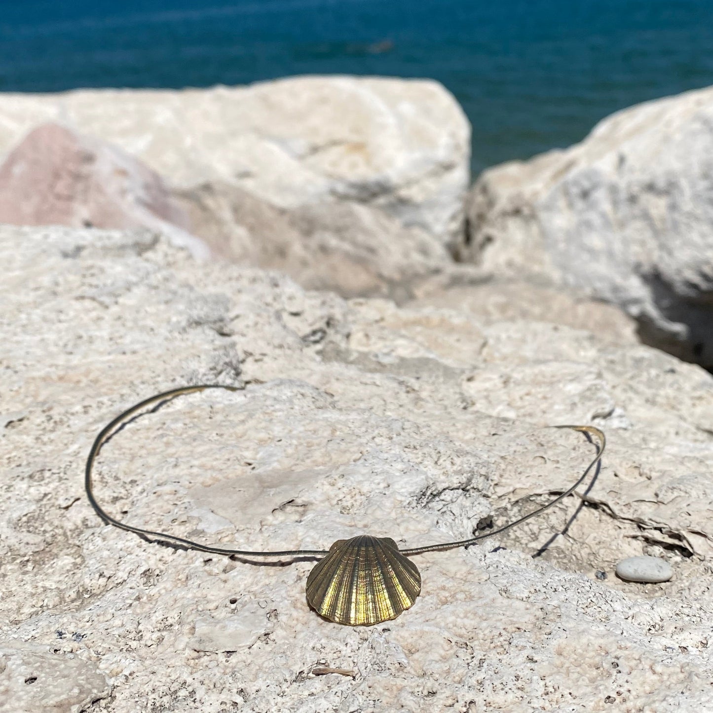 Shell Necklace