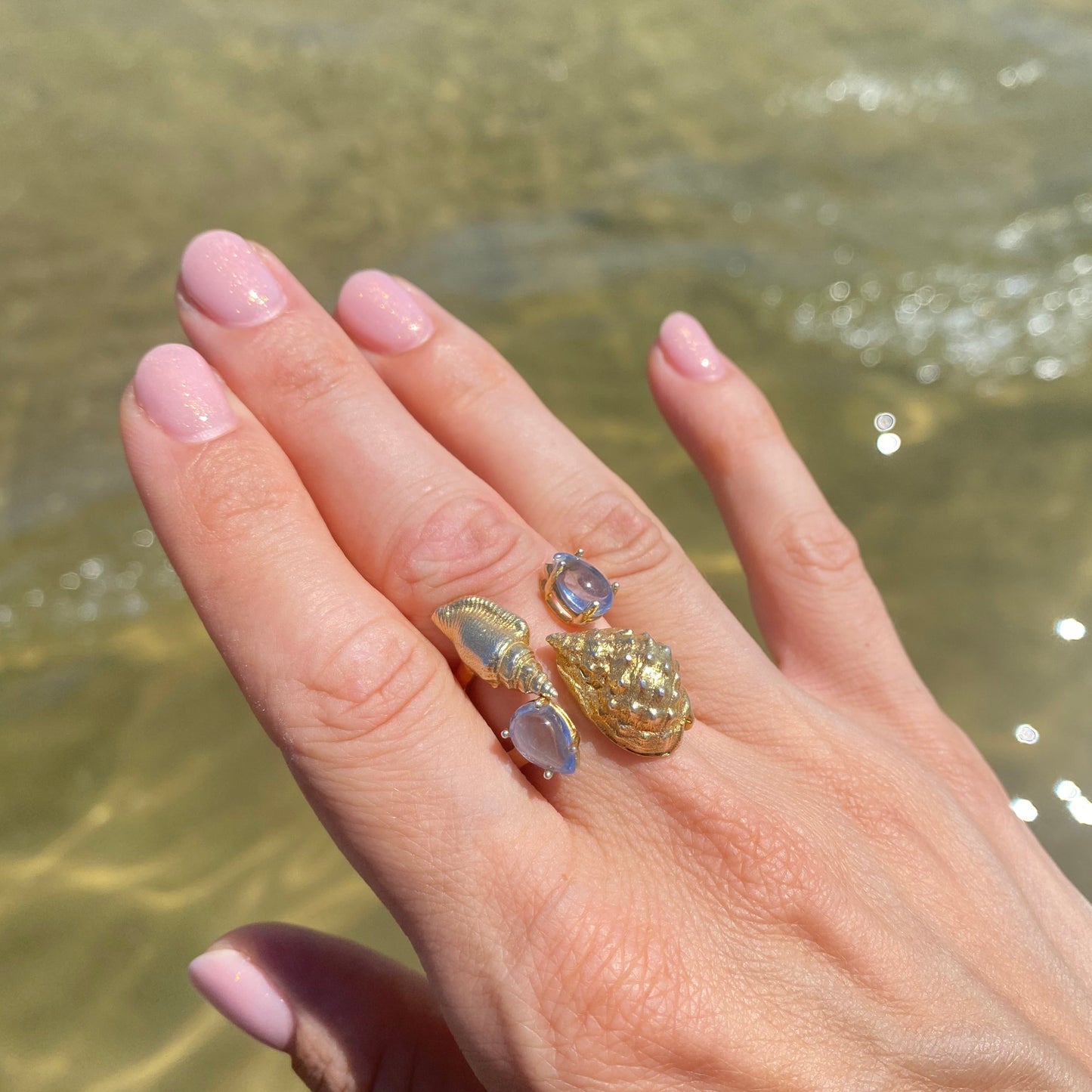 Shell Ring