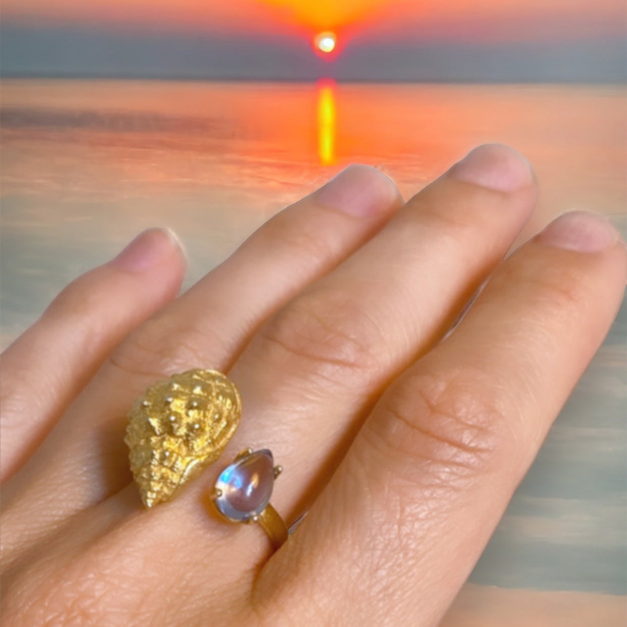 Shell Ring 2